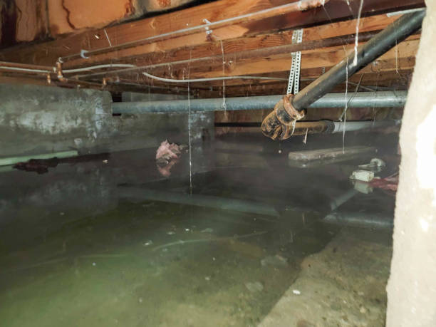  Vinita, OK Water damage restoration Pros