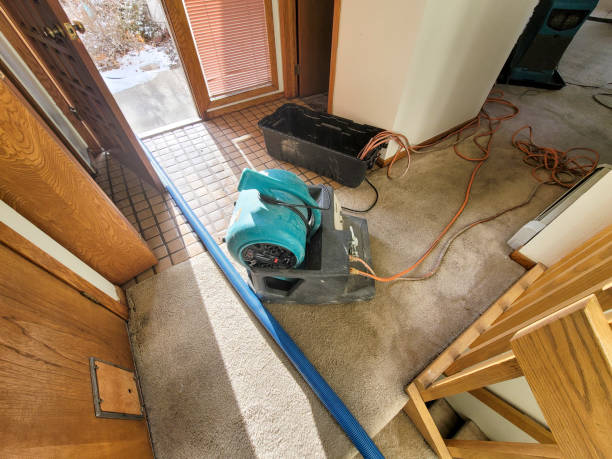 Best Residential water damage restoration  in Vinita, OK