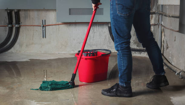 Best Water damage cleanup near me  in Vinita, OK