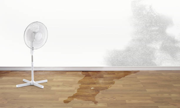 Best Professional water damage repair  in Vinita, OK