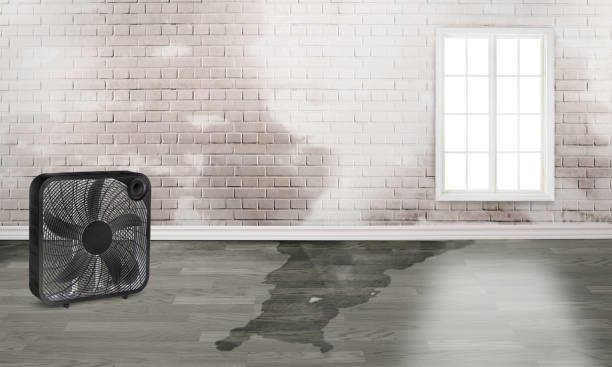 Best 24-hour water damage restoration  in Vinita, OK
