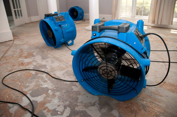 Best 24-hour water damage restoration  in Vinita, OK