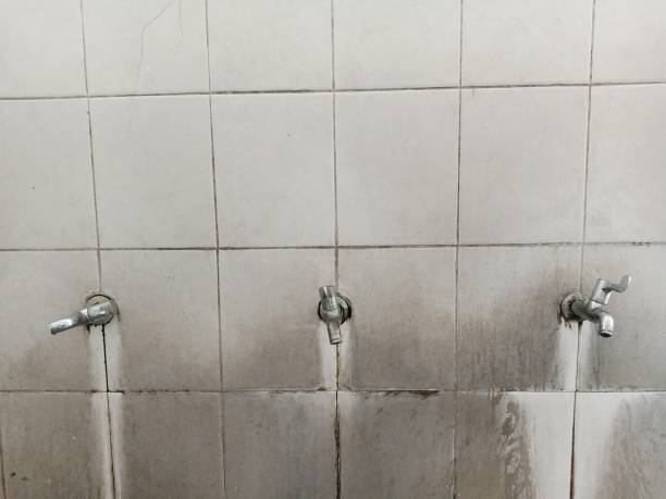 Best Professional water damage repair  in Vinita, OK