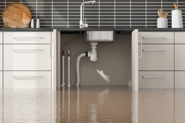 Best Fire Damage Restoration  in Vinita, OK