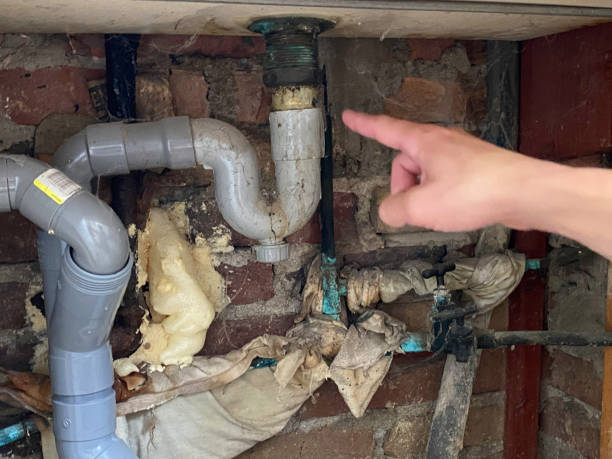 Best Carpet water damage restoration  in Vinita, OK