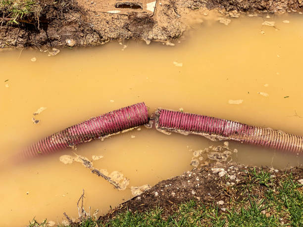 Best Water damage restoration mold remediation  in Vinita, OK