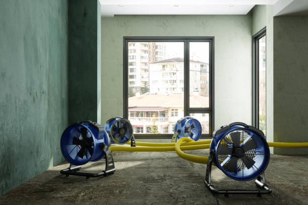 Best Carpet water damage restoration  in Vinita, OK