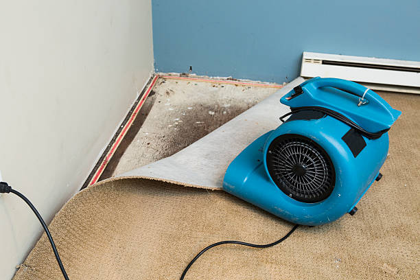Best Water damage restoration insurance claims  in Vinita, OK